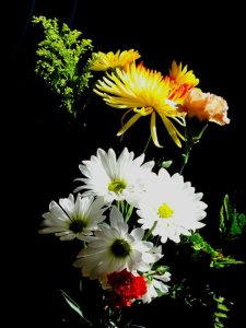 Bryan no 38 bouquet 2_n