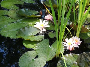 photo amour en interrogation_o