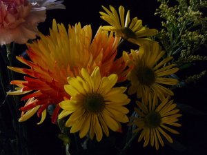 Bryan no 36 bouquet de fleurs_n