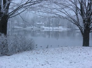 simplement hiver_n-2