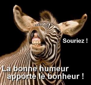 zebre souriant_n