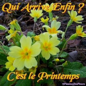 printemps
